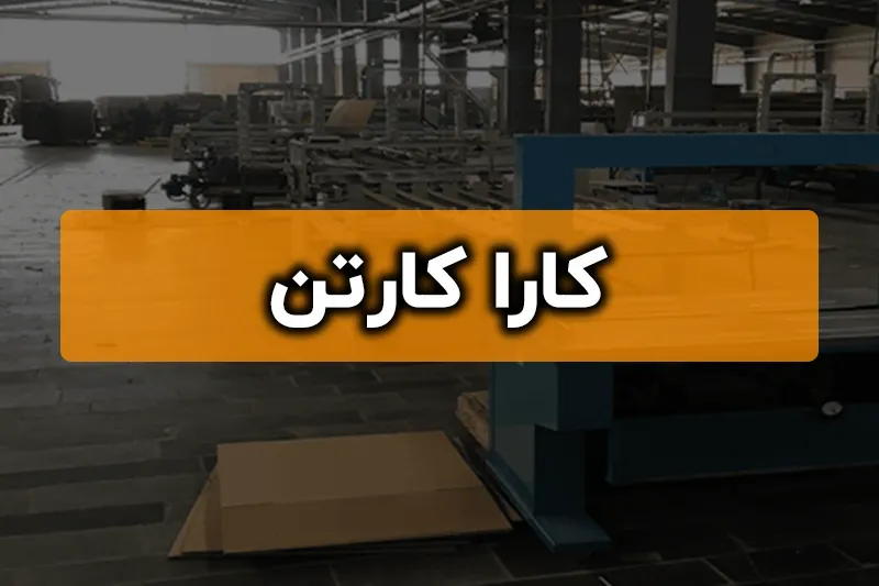 کارا کارتن